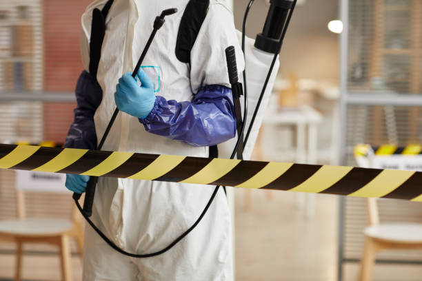 Professional Hoarding Cleanup technician working in Georgetown, CT